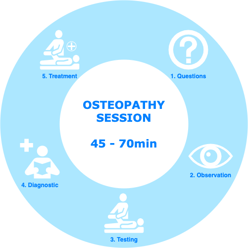 Osteopathic diagram