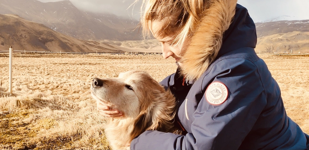 Osteopathic session on dog